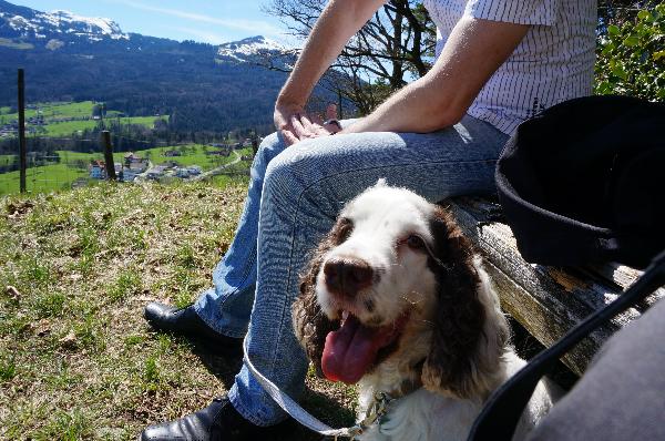 Tux in Eichberg